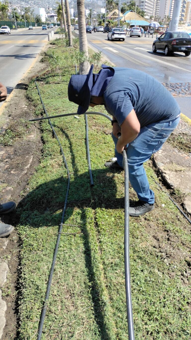 Repara Gobierno de Acapulco las averías del sistema de riego