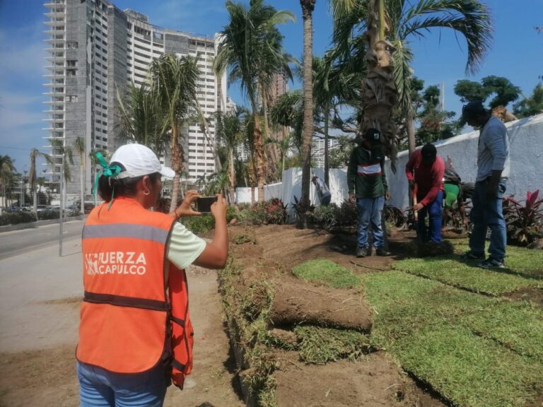 Reforesta Gobierno de Acapulco la plaza “La diosa del mundo”