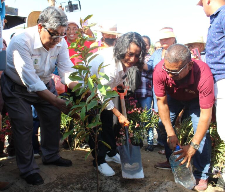Impulsa Gobierno de Acapulco la campaña de arborización «Sembrando con Amor»