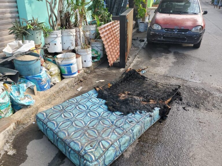 Atiende Gobierno de Acapulco incendio en pastizales y tala de árboles de distintos puntos de la ciudad