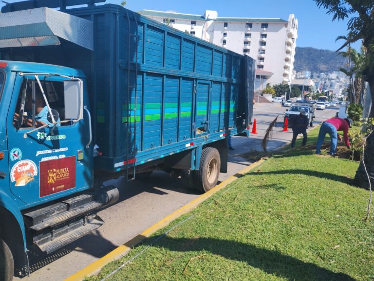 Realiza Gobierno de Acapulco limpieza de camellón central en Costera Miguel Alemán