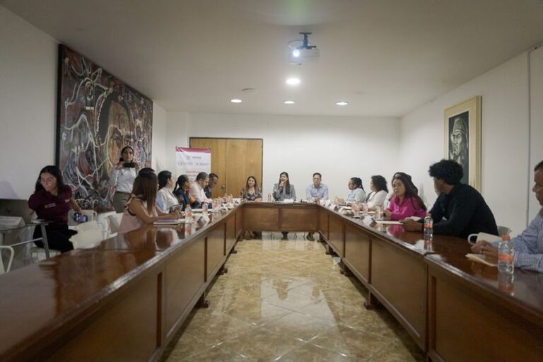 María Sugey Alcocer Perulero asistió a la Segunda Sesión Ordinaria de la Comisión para la Protección Integral de Niñas, Niños y Adolescentes Migrantes y Solicitantes de la Condición de Refugiado