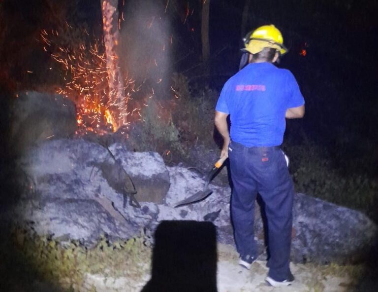 Atiende Gobierno Municipal incendio en el anfiteatro parte alta de Dragos y Miramar