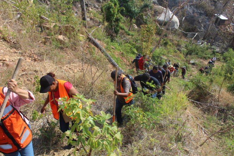 Controlan bomberos de Acapulco, Ejército, CONAFOR y Protección Civil incendio en Parque Nacional El Veladero en un 70 por ciento