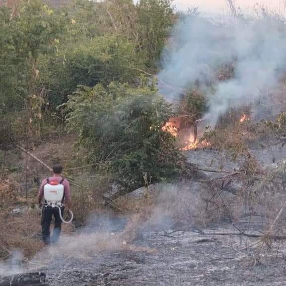 Sofoca Gobierno de Acapulco incendios en Kilómetro 21, Kilómetro 30 y San Isidro