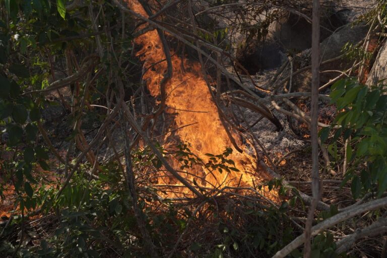Liquida Gobierno de Acapulco junto a otras instancias incendios en Dragos y Carabalí