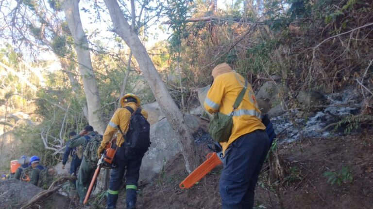 Este día podrían quedar liquidados en su totalidad los dos incendios forestales del Parque El Veladero