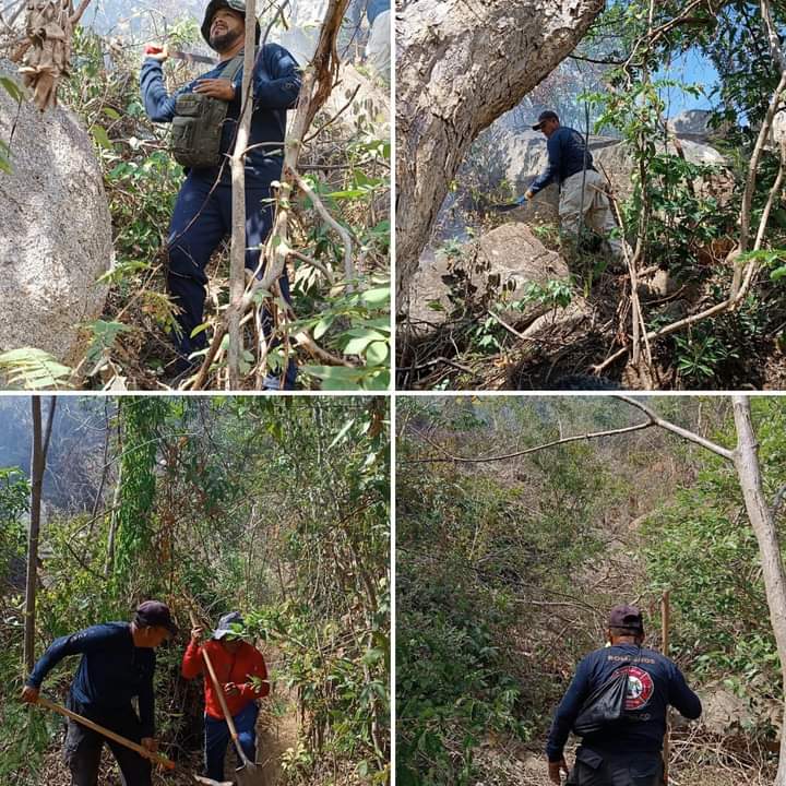 Combate Gobierno de Acapulco incendio en parte alta de la colonia Burócratas