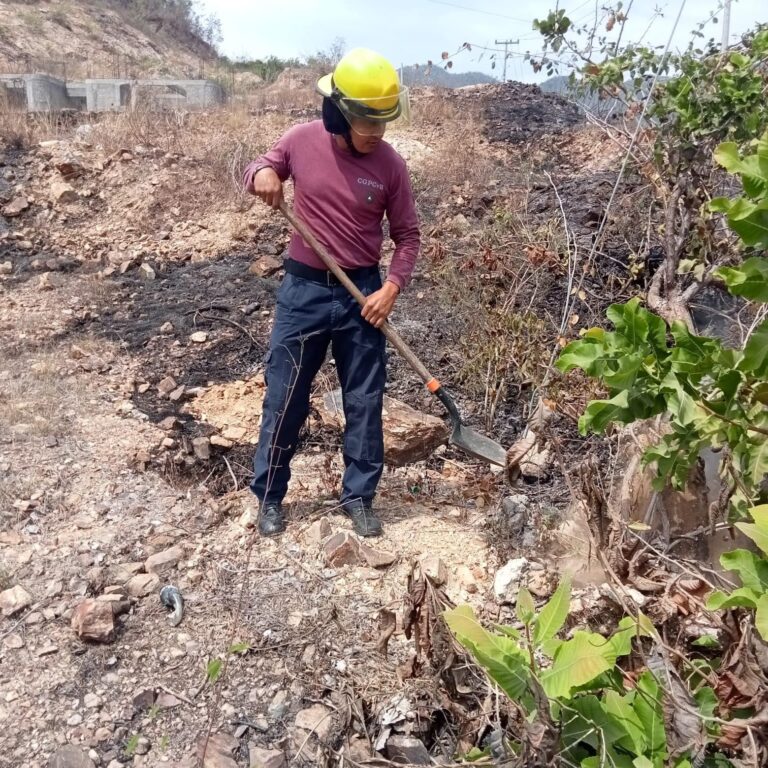Atiende Gobierno de Acapulco diversos incendios de pastizales, árboles y un automóvil