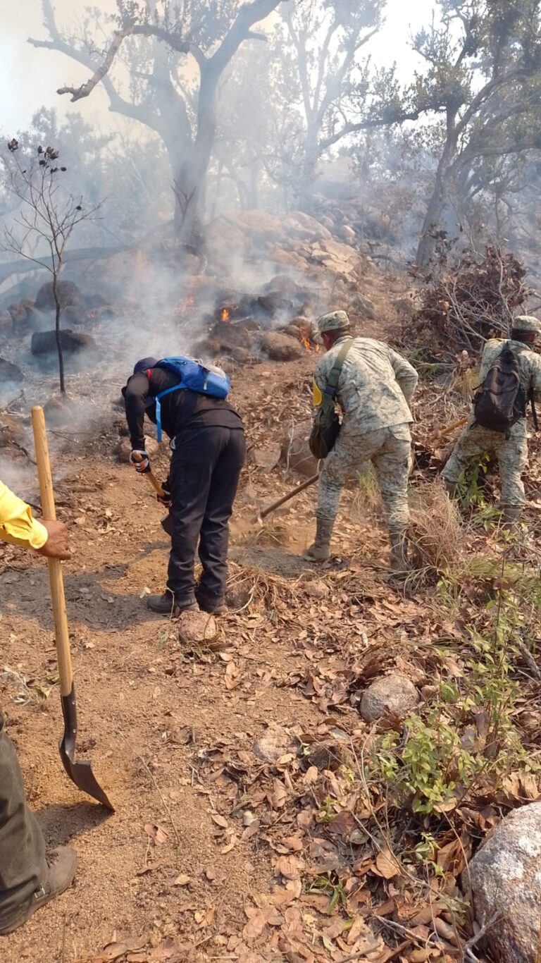 Combaten Bomberos Municipales incendios en distintos puntos de Acapulco