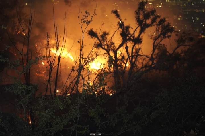 Atiende Gobierno de Acapulco y otras autoridades incendios en El Coloso y Carabalí