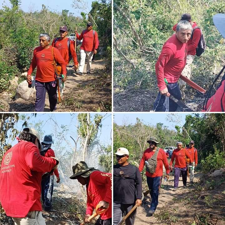 Liquida Gobierno Municipal y otras instancias incendio en El Coloso y Vista Hermosa