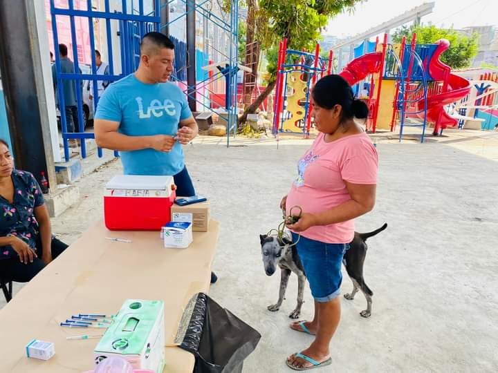 Lleva Gobierno de Acapulco Jornada de vacunación antirrábica a la Progreso