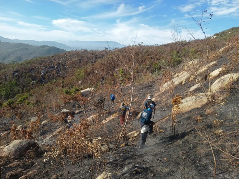 Atienden Gobierno de Acapulco incendio en colonia Vista Hermosa
