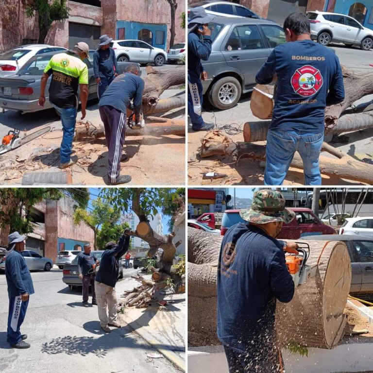 Atiende Gobierno de Acapulco reportes ciudadanos en diversos puntos de Acapulco