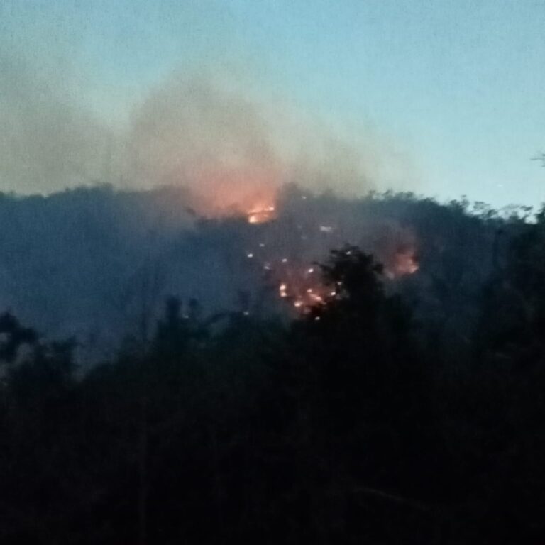 El Gobierno Municipal de Acapulco continúa atendiendo el reporte de un incendio en la parte alta de la colonia Navidad