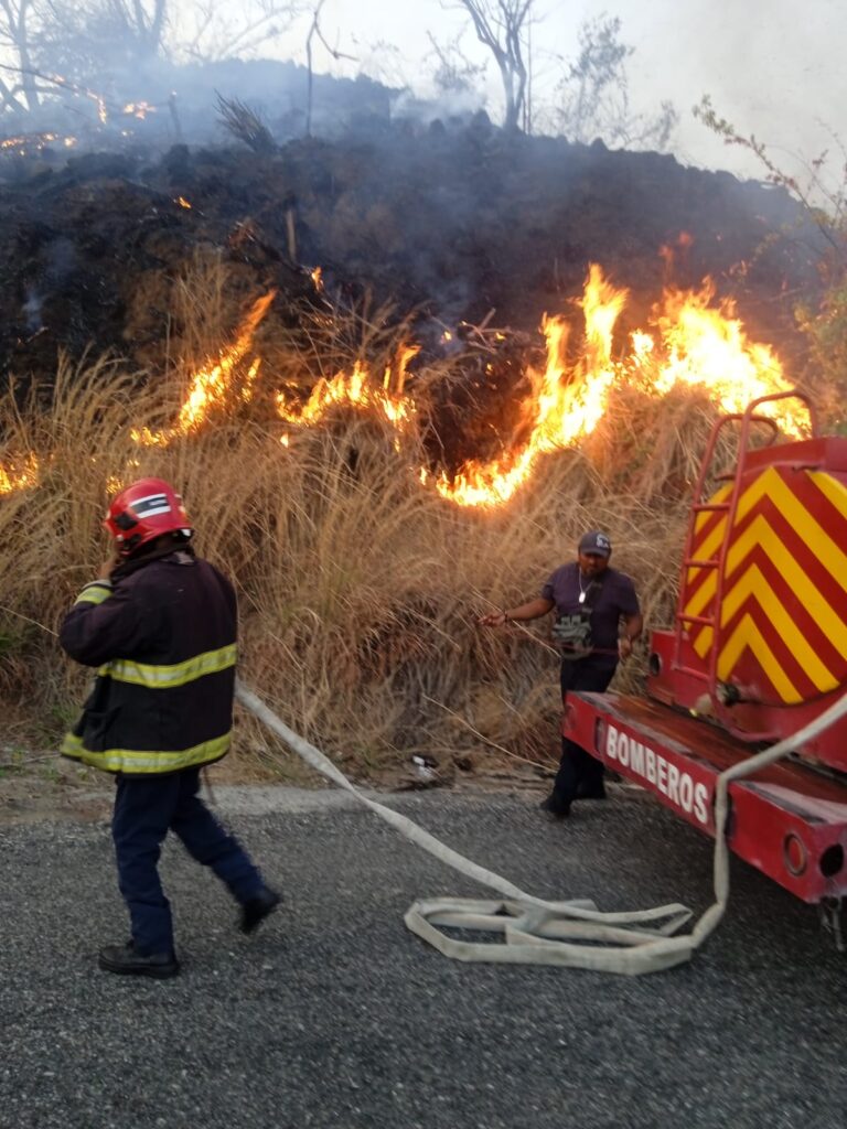 Ha atendido Gobierno de Acapulco 323 incendios forestales