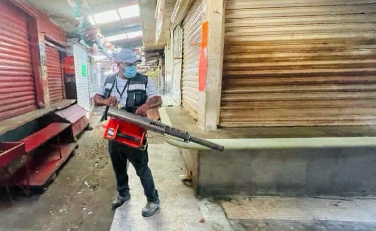 Mantiene Gobierno Municipal campañas de fumigación y abatización en colonias