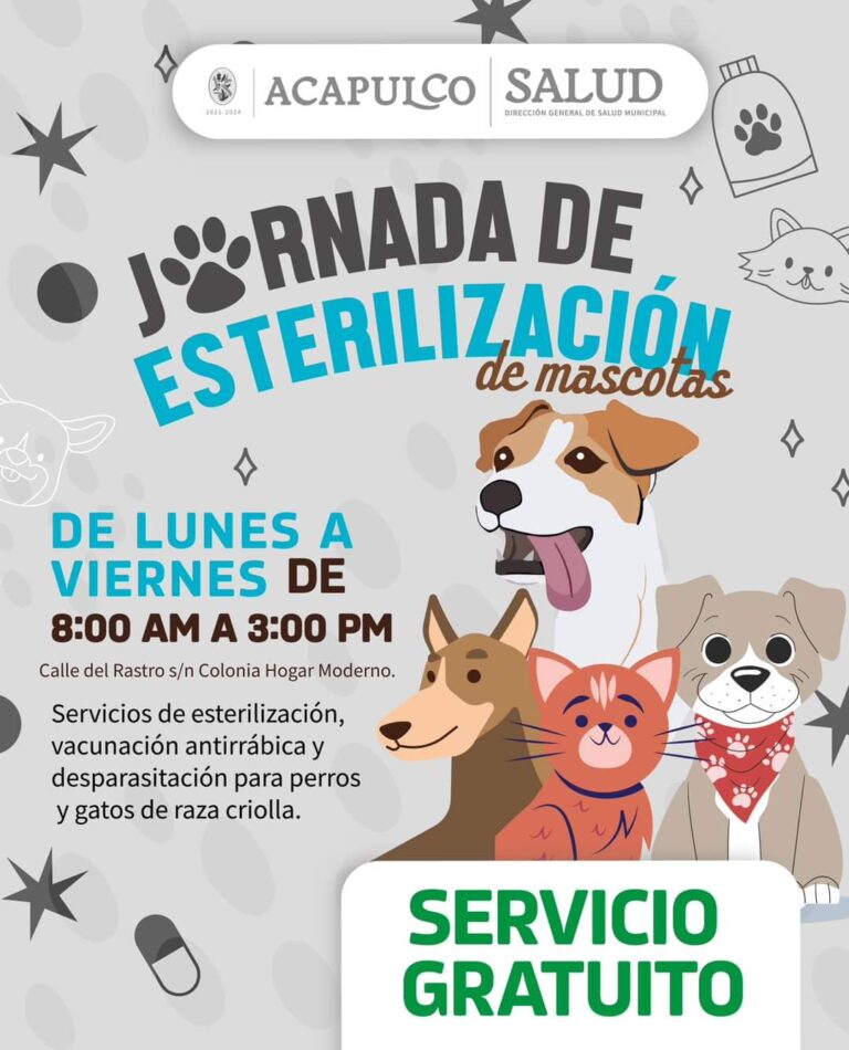 Continúa Gobierno de Acapulco con campaña de esterilización para perros y gatos