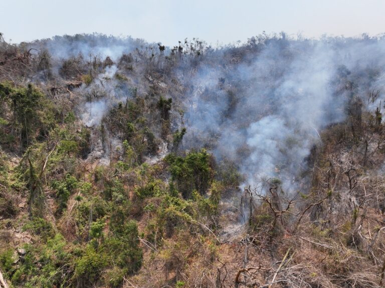 Se registran en Acapulco 4 incendios activos, atiende personal de Bomberos