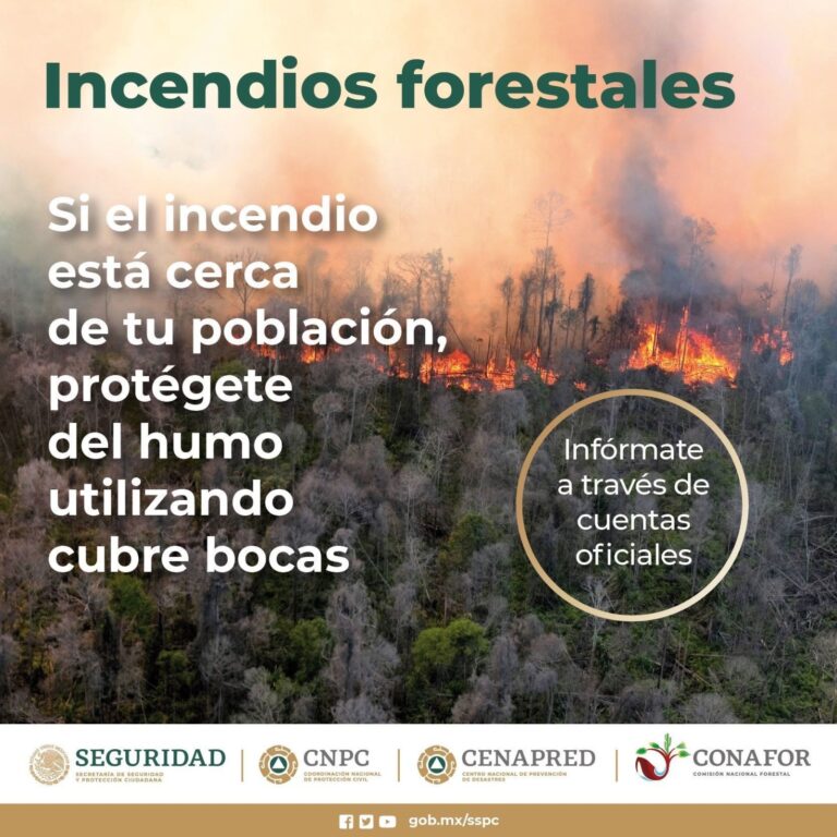 Emite Gobierno Municipal recomendaciones por incendios forestales