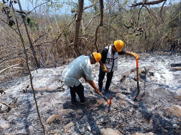 Gobierno Municipal intensifica labores para combatir incendios en el Parque Nacional El Veladero