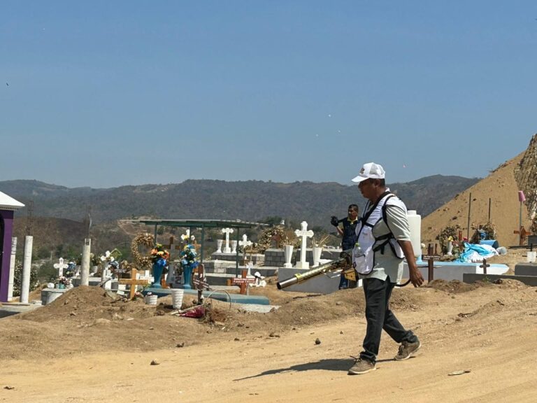 Se realizan trabajos de fumigación y abatización en panteón El Palmar