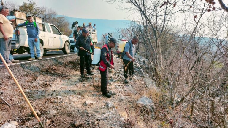Elementos de la Policía Estatal Rural han reforzado sus acciones