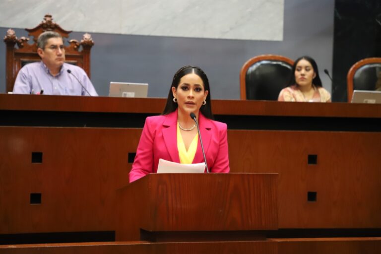 PROPONE DIPUTADA CITLALI CALIXTO LA LEY DE CONSULTA A LAS PERSONAS CON DISCAPACIDAD DEL ESTADO DE GUERRERO