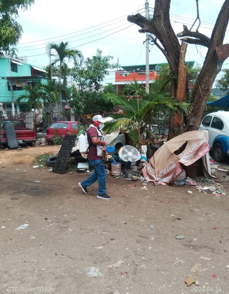 Realiza Gobierno de Abelina López Rodríguez fumigación en Hogar Moderno