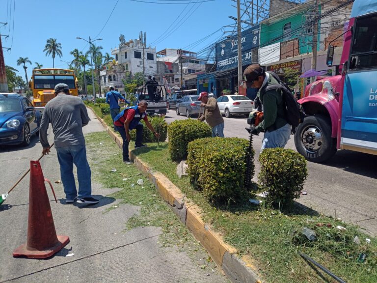 Realiza Gobierno de Abelina poda y limpieza en camellón de Ruiz Cortines