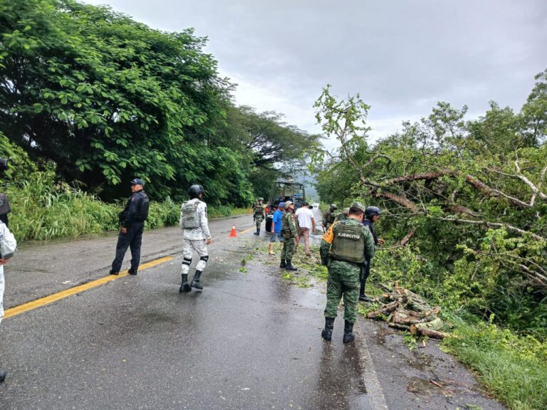 SSP GUERRERO, SEDENA Y GN RETIRAN ÁRBOLES CAÍDOS Y PIEDRAS QUE OBSTRUYEN CARRETERAS ESTATALES