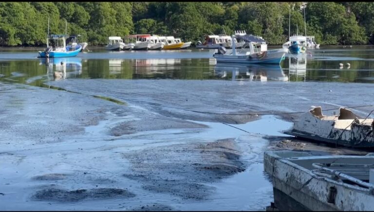 Denuncian apatía gubernamental para sanear laguna Las Salinas, en #Zihuatanejo