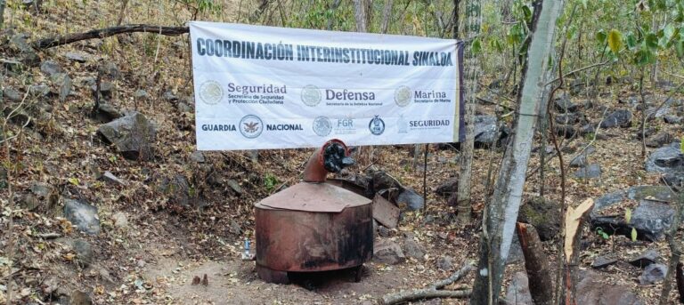 Marina en coordinación con la FGR, localizó y neutralizó dos laboratorios clandestinos y un Plantío de marihuana en Sinaloa