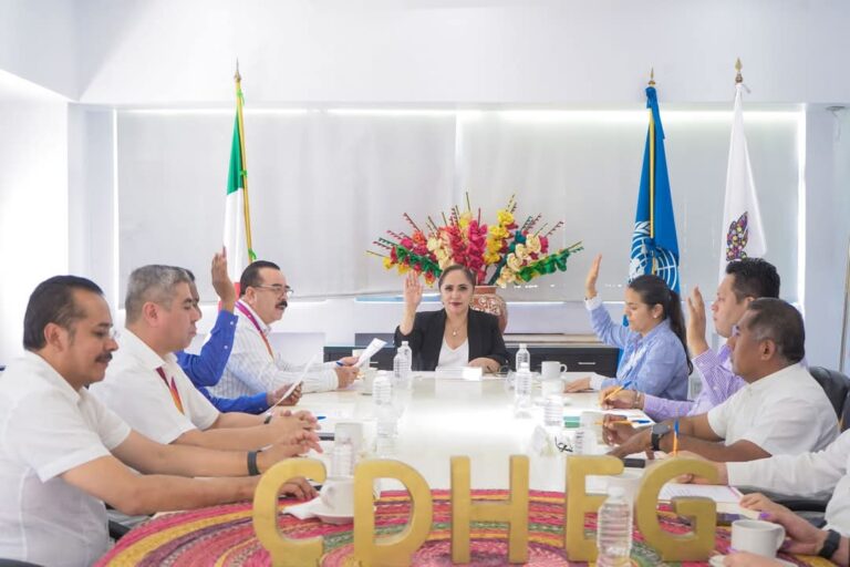 La Mtra. Cecilia Narciso Gaytán, presidenta de la CDHEG llevó a cabo la Sesión de Consejo Consultivo correspondiente a marzo