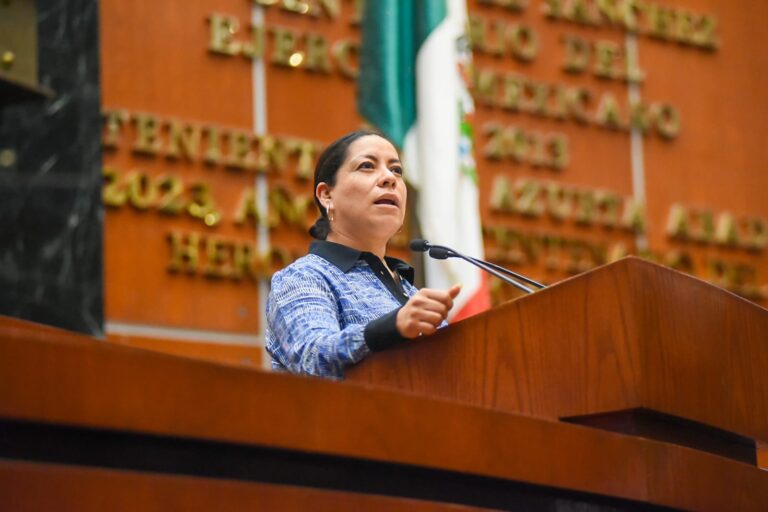 ANALIZAN EXHORTO A DEPENDENCIAS PARA QUE ATIENDAN BROTE DE PLAGAS EN ESCUELAS DE CHILPANCINGO