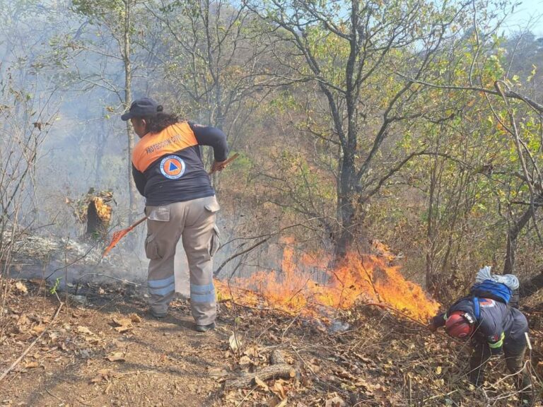Pide Protección Civil a campesinos no recurrir a quemas agrícolas