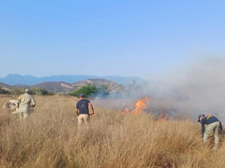 Defensa Nacional y Protección Civil controlan incendio en Coyuca