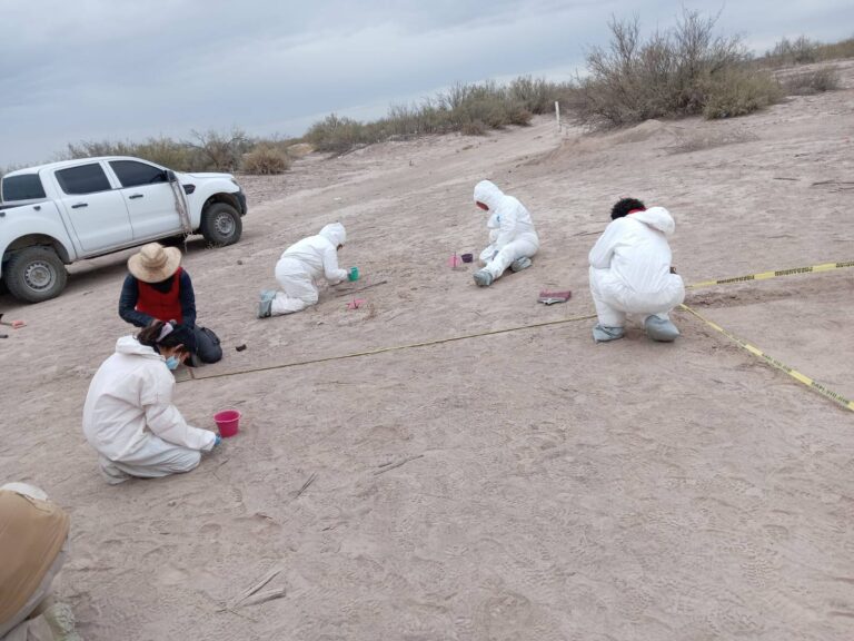 Veinte años para limpiar la zona de exterminio del narcotráfico en La Laguna señala colectivo Grupo Vida