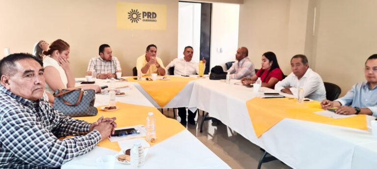 Su propuesta de trabajo primordial será respaldar las causas de la gente, reitera el PRD Guerrero
