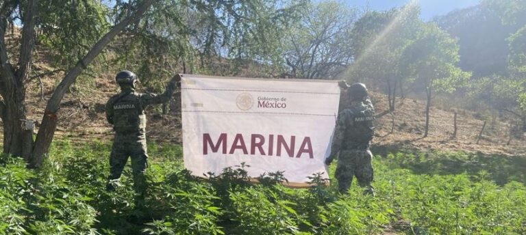 El Gabinete de Seguridad del Gobierno de México informa acciones relevantes del martes 18 de marzo 2025