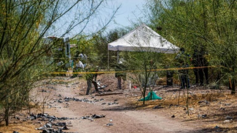 Colectivo de madres halla 11 cuerpos en fosas clandestinas en Sinaloa