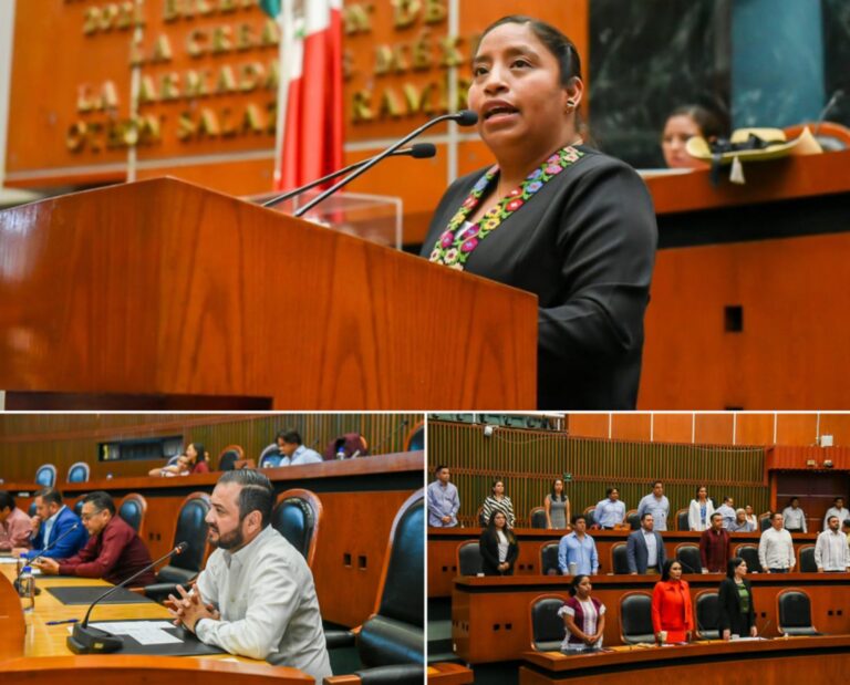 PROPONE EN EL CONGRESO QUE DEPENDENCIAS ESTATALES Y AYUNTAMIENTOS TRABAJEN CONTRA CONDUCTAS PATRIARCALES EN LA MONTAÑA DE GUERRERO