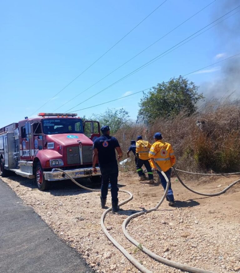 Combate de Incendio Forestal en Juchitán