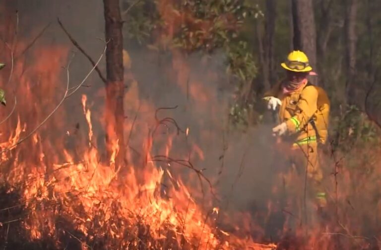 Mueren 3 brigadistas en incendios forestales en Guerrero y Oaxaca