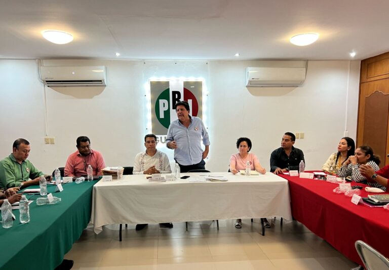 “El PRI tiene fuerza y presencia en Guerrero, con contundencia recuperaremos los espacios que nos arrebataron”, Alejandro Bravo