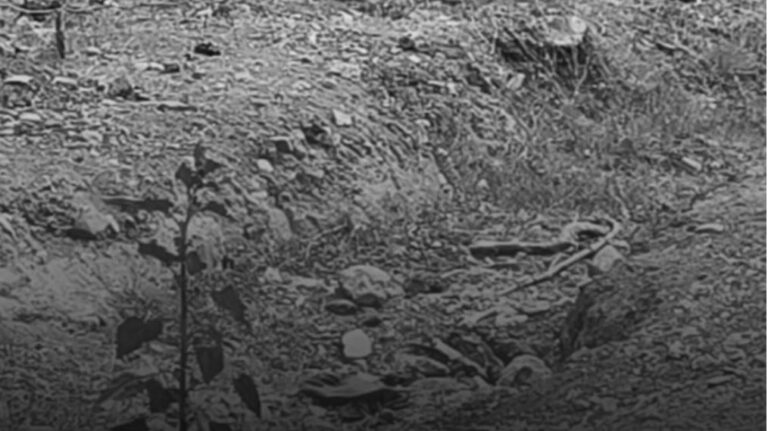 Hallan fosa clandestina con seis cuerpos al norte de Hermosillo