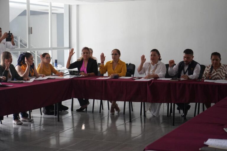 Participa la presidenta de la CDHEG en la Vigésima Quinta Sesión Ordinaria de la Comisión de Prevención de la Violencia Contra las Mujeres