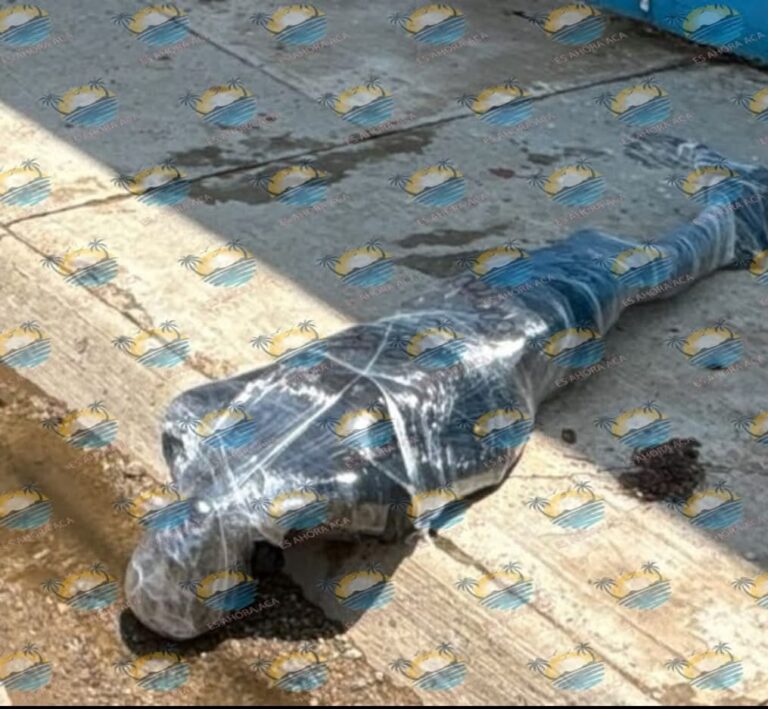 Dejan cadáver en bolsas en la Zapata