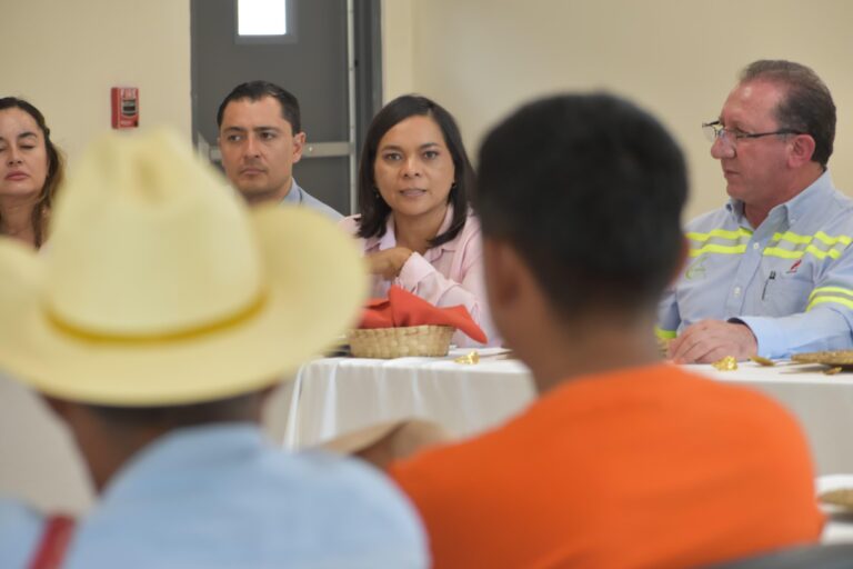 La senadora Beatriz Mojica Morga se reúne con comisarios y trabajadores de la Mina Capela en Teloloapan